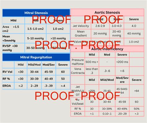 impact echo study guide